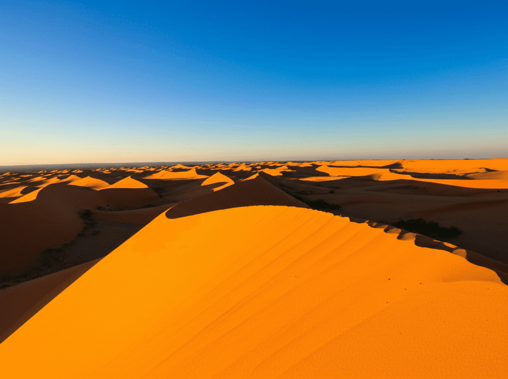 Experience the Thrill of Desert Safari in Dubai