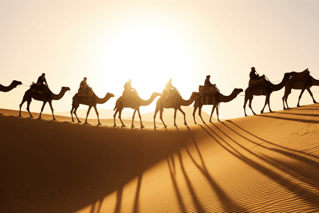 Discover the Best Morning Desert Safari Tours in Dubai