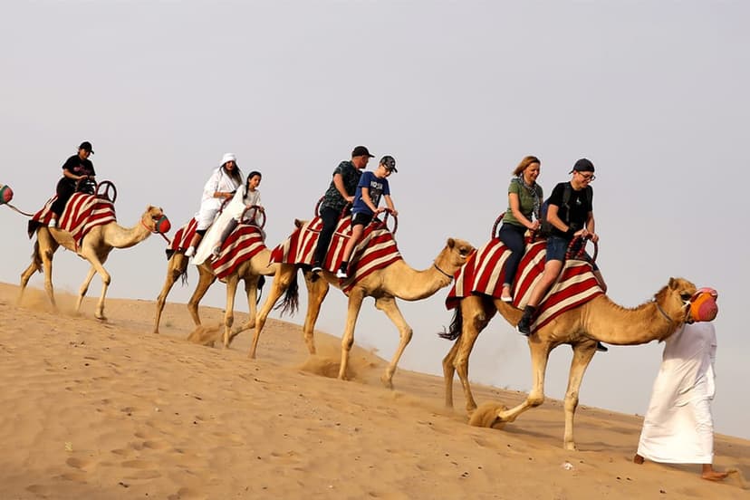 Morning Desert Safari With Camel Ride